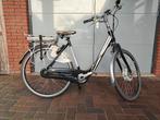 Sparta ION RX+ Elektrische Fiets, Fietsen en Brommers, Elektrische fietsen, Ophalen, Sparta, Gebruikt, 51 tot 55 cm