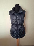 Bodywarmer page maat m, Kleding | Dames, Maat 38/40 (M), Blauw, Ophalen of Verzenden, Zo goed als nieuw
