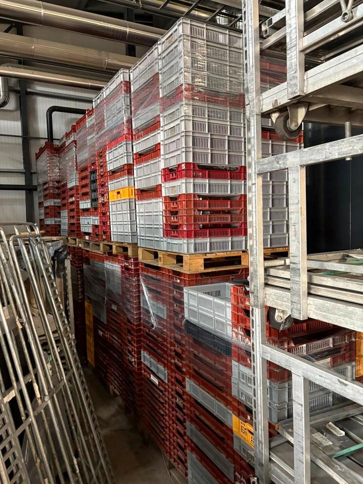 Partij kunststof stapelkratten 60x40x12cm 825 stuks, Doe-het-zelf en Verbouw, Kratten en Dozen, Krat, Minder dan 35 cm, 40 tot 60 cm