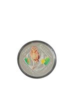 Aruba 5 florin 2012 (PROOF) "Shoco-vogel" Zilver, Ophalen of Verzenden, Midden-Amerika, Losse munt, Zilver