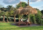 SCHITTERENDE RIETEN PARASOLS, Ophalen, Nieuw, 2 tot 3 meter, Strandparasol