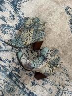 Enkellaarsjes slangenprint maat 38, Kleding | Dames, Schoenen, Blauw, Lage of Enkellaarzen, Ophalen of Verzenden, Zo goed als nieuw