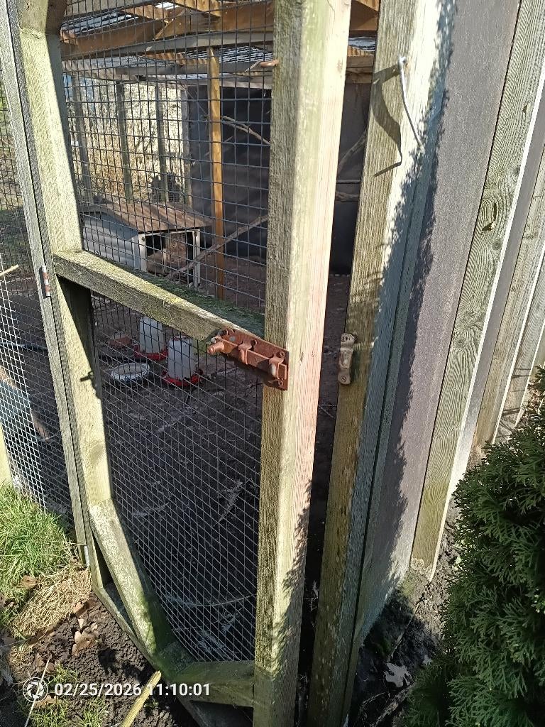 Kippenren, Dieren en Toebehoren, Pluimvee | Toebehoren, Ophalen, Gebruikt, Kippenhok of Kippenren