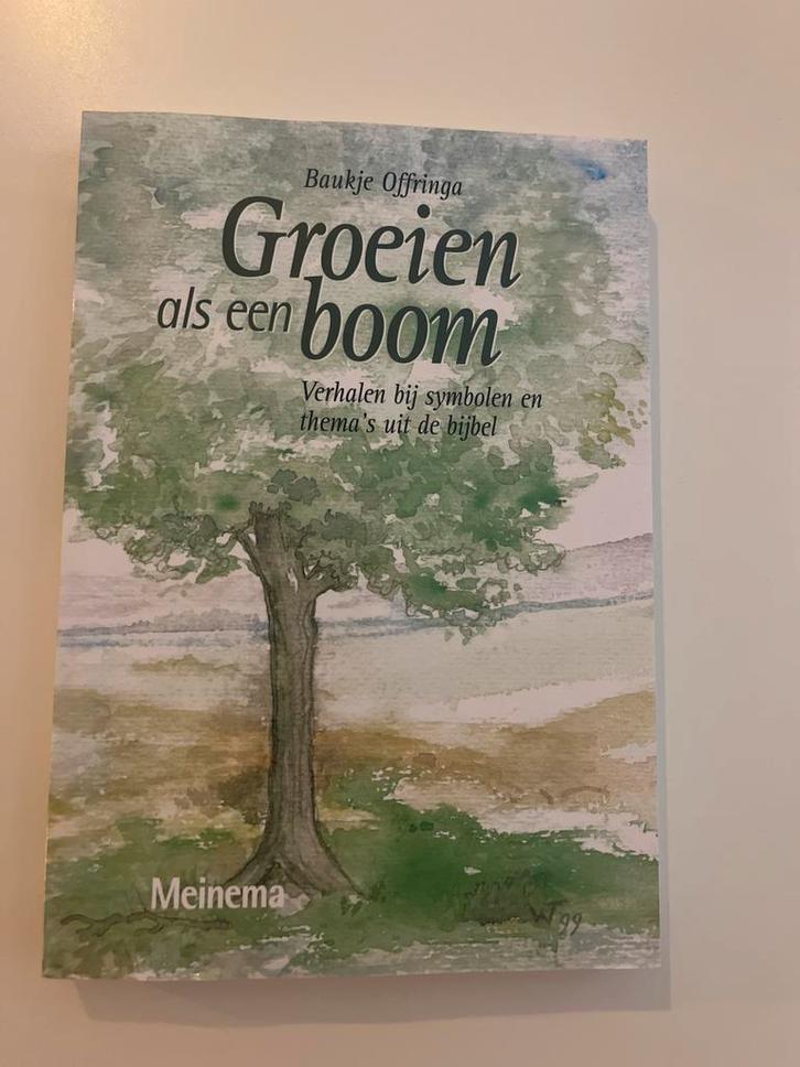 Groei als een boom - Baukje Offringa, Boeken, Godsdienst en Theologie, Zo goed als nieuw, Christendom | Protestants, Ophalen of Verzenden
