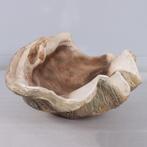 Giant Clam Shell – Mossel – Schelp Lengte 71 cm, Ophalen, Nieuw