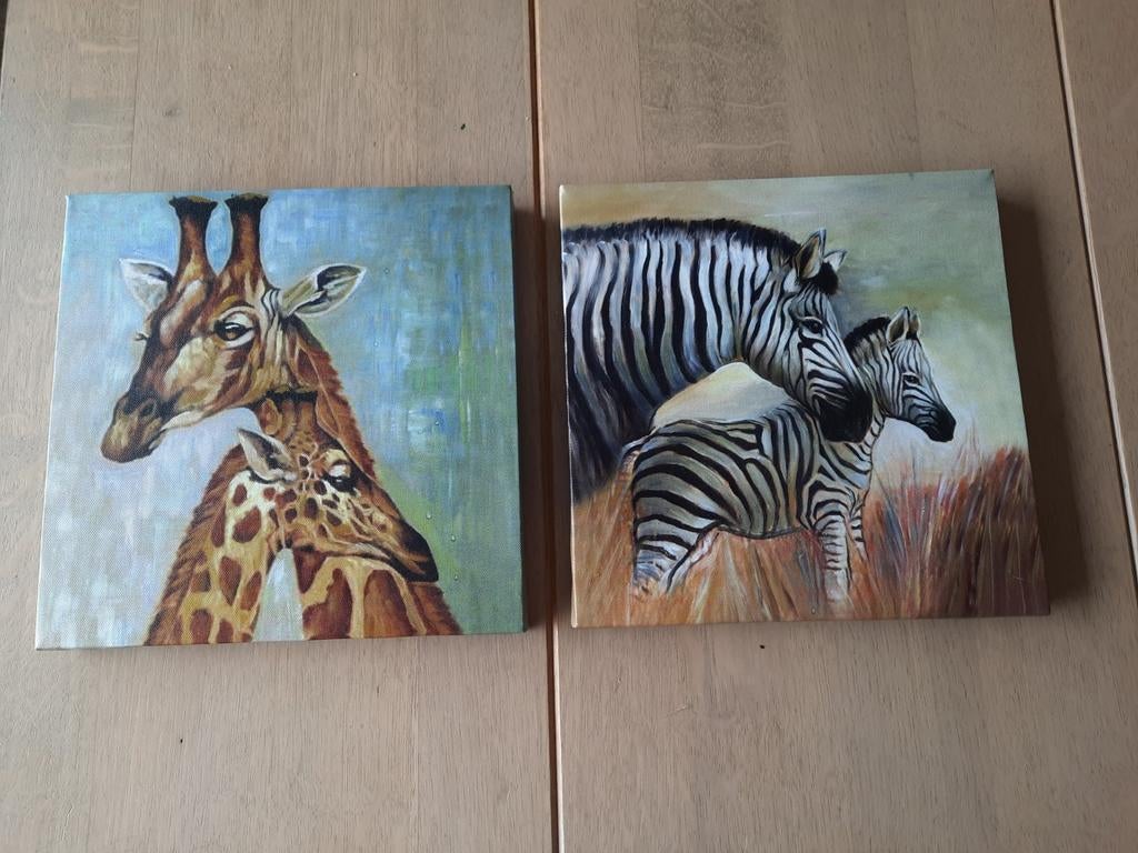 Canvas afbeeldingen, Ophalen, Zo goed als nieuw, Schilderij, Minder dan 50 cm