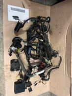 suzuki sv 650 complete kabelboom, Motoren, Ophalen, Gebruikt