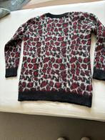 Sandro trui met muts - Maat 40/42, Verzenden, Maat 42/44 (L), Sandro, Zo goed als nieuw