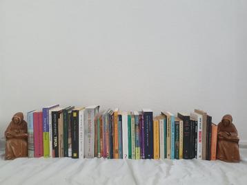 Partij van 47 Boeken – Romans, Kinderboeken & Poëzie (NL/EN) beschikbaar voor biedingen