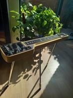 Guyatone Lap steel Vintage + poten + deusenburg Multi Bender, Muziek en Instrumenten, Ophalen of Verzenden, Gebruikt, Overige typen