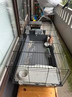 Konijnen kooi, Dieren en Toebehoren, Knaagdieren en Konijnen | Hokken en Kooien, Kooi, Hamster, Ophalen, Minder dan 60 cm