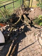 Boomstronk en Takken - Tuindecoratie/Brandhout, Ophalen of Verzenden, Gebruikt
