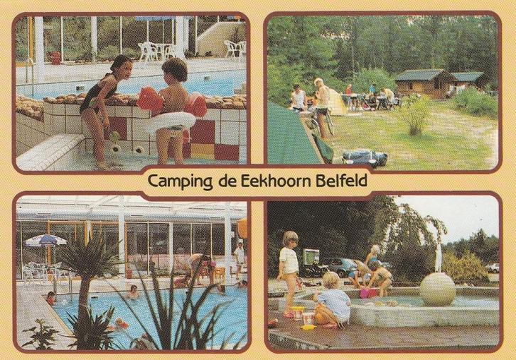 BELFELD Camping de Eekhoorn fotokaart, Verzamelen, Ansichtkaarten | Nederland, Ongelopen, Limburg, 1980 tot heden, Verzenden