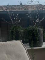 2 stuks still stenen vazen grijs, Huis en Inrichting, Woonaccessoires | Vazen, Ophalen, Overige kleuren, Steen, Minder dan 50 cm