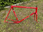 Gazelle Champion Mondial frame, Ophalen, Frame, Gebruikt, Racefiets
