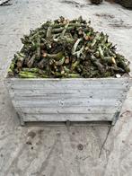 Kist Droog openhaardhout haardhout peren fruitbomen, Tuin en Terras, Haardhout, Minder dan 3 m³, Ophalen, Overige houtsoorten