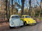 Volkswagen kever voor bruiloft, gala of ander feest, Ophalen, Nieuw
