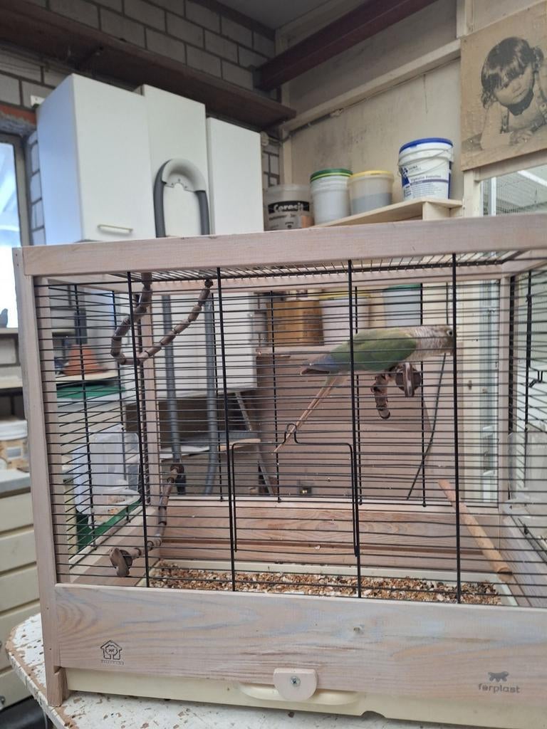 Purura met kooi, Ophalen of Verzenden, Zo goed als nieuw, Metaal, Vogelkooi