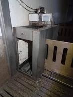 (64) Weegstation voor varkens, Mannelijk, Schaap