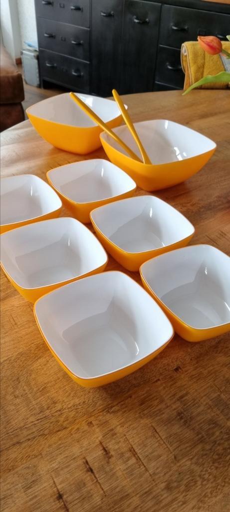 EMSA vintage NW! oranje schalen en mepal slabestek Retro, Caravans en Kamperen, Kampeeraccessoires, Nieuw, Ophalen of Verzenden