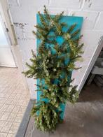Kersttakken op MDF plank - Leuke decoratie!, Ophalen, Gebruikt, Binnen