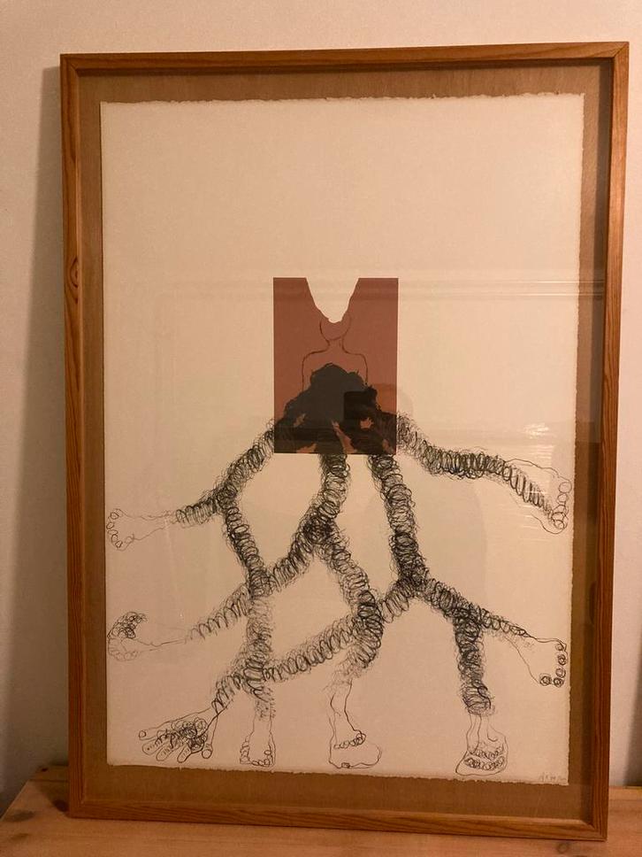 Ansuya Blom, Antiek en Kunst, Kunst | Litho's en Zeefdrukken, Ophalen