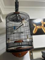 Indonesië schamas kooien, Dieren en Toebehoren, Ophalen of Verzenden, Zo goed als nieuw, Hout, Vogelkooi