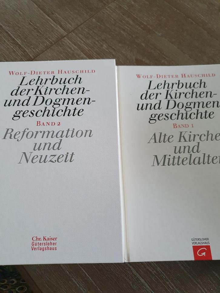 Theologische Studieboeken - Goede Staat, Boeken, Godsdienst en Theologie, Gelezen, Christendom | Katholiek, Ophalen of Verzenden