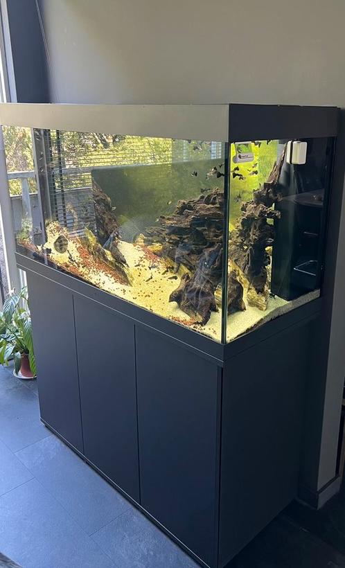 Juwel Rio 350 zwart(Einde entertainment vanwege verhuizing), Dieren en Toebehoren, Vissen | Aquaria en Toebehoren, Gebruikt, Gevuld zoetwateraquarium