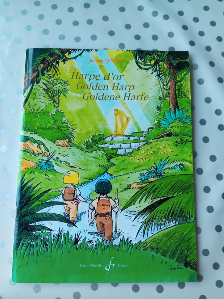 Muziekboek Harp Beginners - Harpe d'Or, Muziek en Instrumenten, Bladmuziek, Nieuw, Les of Cursus, Overige instrumenten, Ophalen of Verzenden