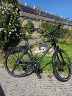 Pegasus Premio SL Disc Belt 8v 2019, Versnellingen, Zo goed als nieuw, 57 tot 61 cm, Ophalen