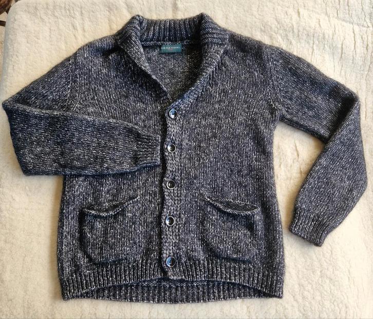 Gebreid Daniele Fiesoli Vest Alpacawol XL, Kleding | Heren, Truien en Vesten, Zo goed als nieuw, Maat 56/58 (XL), Grijs, Ophalen of Verzenden