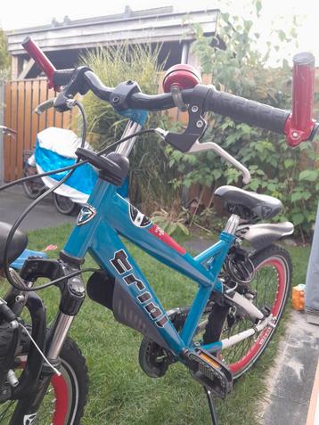 Alpina Trial 20 inch jongensfiets beschikbaar voor biedingen