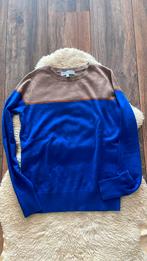Dunne trui van Red Button, Ophalen of Verzenden, Zo goed als nieuw, Maat 46 (S) of kleiner, Blauw