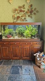 Juwel Rio 450 – Compleet draaiend aquarium incl. CO₂, verlic, Dieren en Toebehoren, Vissen | Aquaria en Toebehoren, Ophalen, Gevuld zoetwateraquarium