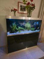 Oase HighLine Optiwhite aquarium 400, Dieren en Toebehoren, Ophalen, Zo goed als nieuw, Leeg aquarium