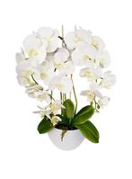 kunst orchidee, Huis en Inrichting, Kamerplanten, Ophalen of Verzenden, Halfschaduw, Minder dan 100 cm