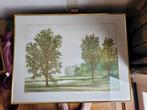 Pastel van Zuigerplas in Zuigerplasbos bij Lelystad, Antiek en Kunst, Kunst | Litho's en Zeefdrukken, Ophalen of Verzenden