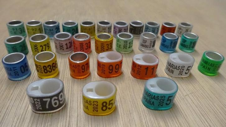 Spaanse/Franse Duivenringen, Dieren en Toebehoren, Vogels | Duiven, Postduif, Geslacht onbekend