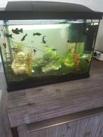 Te koop2 keer aquarium zonder vissen aleen de bak met lamp, Ophalen, Zo goed als nieuw, Leeg aquarium