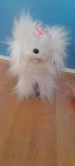 Hondje  (bewegend), Ophalen, Hond