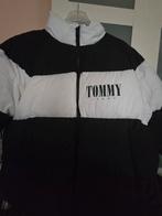 Tommy hilfiger Jas maat L/ nieuw, Ophalen of Verzenden, Nieuw, Maat 46/48 (XL) of groter, Zwart