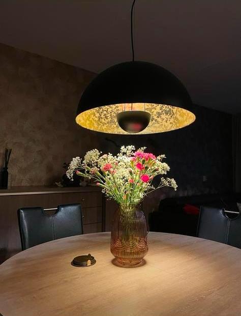 Hanglampen, Huis en Inrichting, Lampen | Hanglampen, Zo goed als nieuw, Minder dan 50 cm, Ophalen
