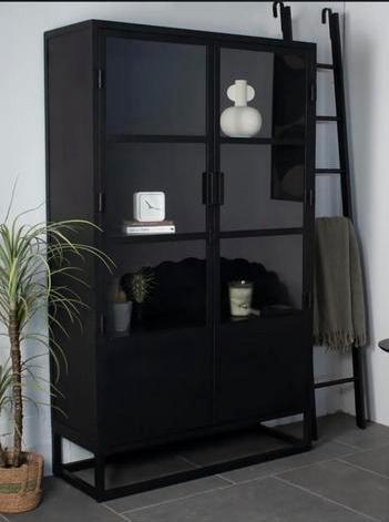 Vitrine kast staal