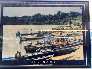 Schilderij van Suriname beschikbaar voor biedingen