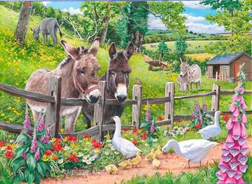 House of Puzzles - Jack & Jenny - 250XL stukjes beschikbaar voor biedingen