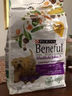 Droge Honden voer Beneful, niet geopend!, Dieren en Toebehoren, Ophalen of Verzenden, Hond