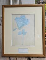 Blauwe Roos, Antiek en Kunst, Ophalen of Verzenden