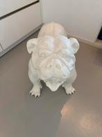 Engelse bulldog beeld XXL, Antiek en Kunst, Kunst | Beelden en Houtsnijwerken, Ophalen