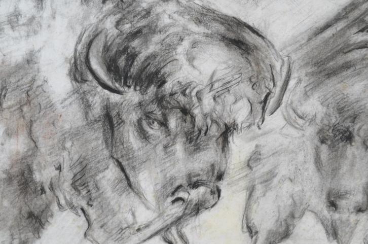 Houtskool 2 bizons in de sneeuw? H. Tummers 1991, Antiek en Kunst, Kunst | Tekeningen en Foto's, Ophalen of Verzenden